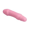 Pretty Love Vibro Stev 11 x 2.8 cm Rose